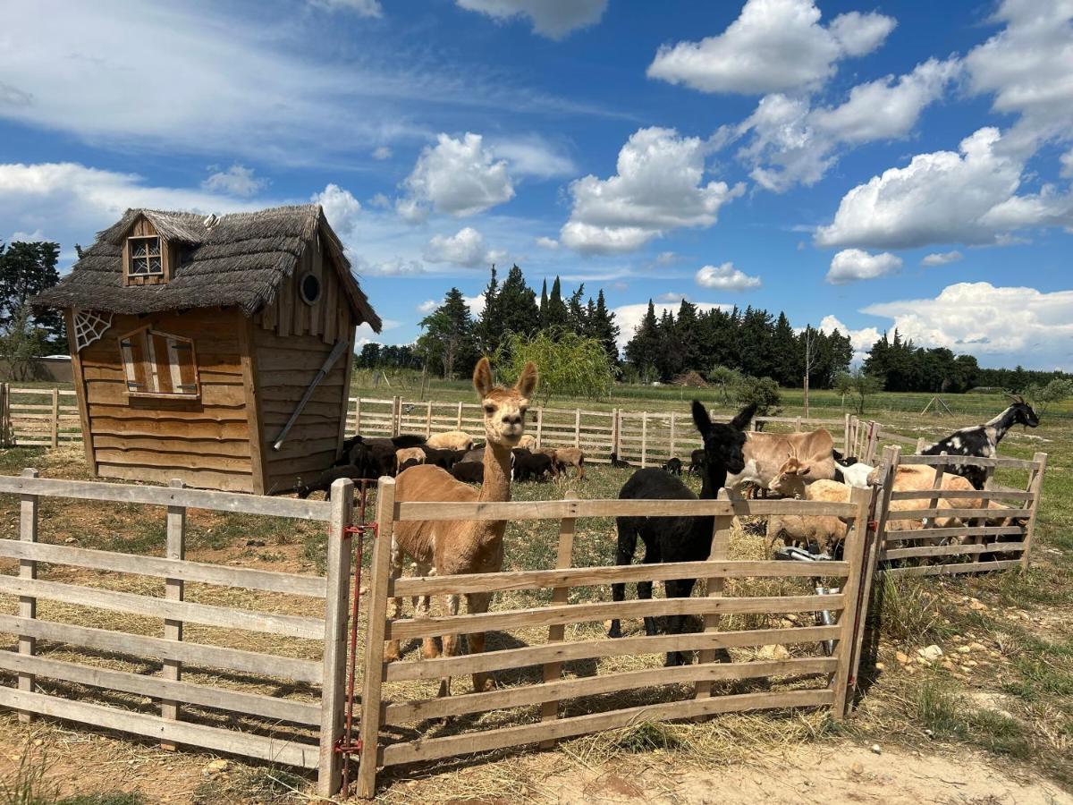 A La Ferme Avec Piscine Ferienhaus