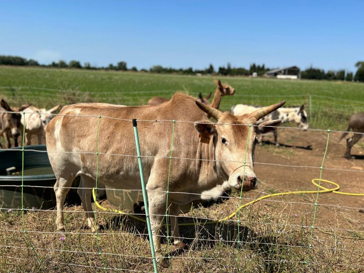 A La Ferme Avec Piscine