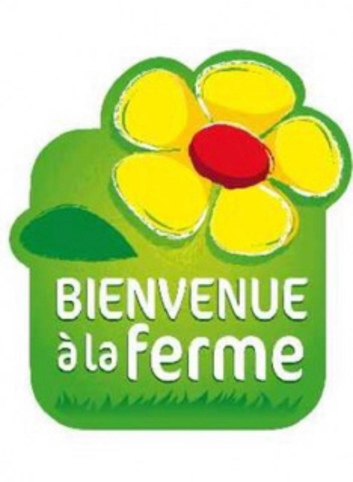 Ferienhaus A La Ferme Avec Piscine Arles